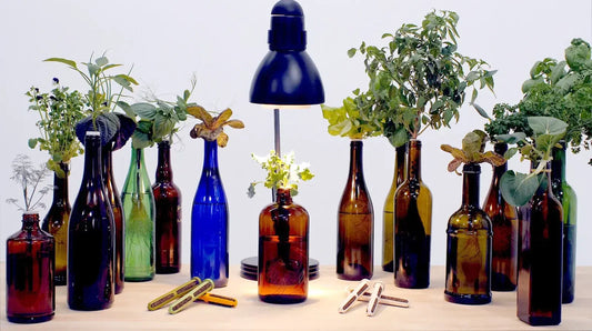 Wine Bottle Craft Ideas: Easy DIY Projects to Recycle Bottles