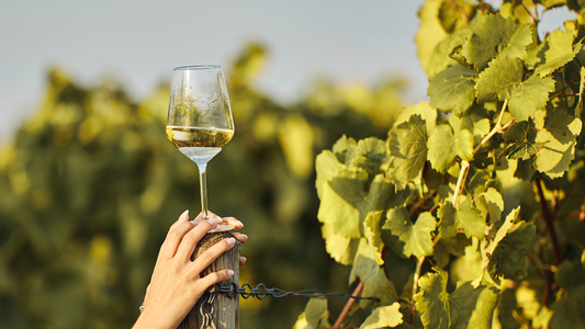 Luck in Every Sip: Best Wines for St. Patrick’s Day