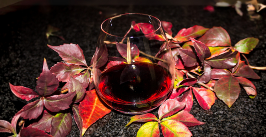 Your Fall Wine Pairing Guide.